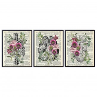 Anatomy with Eucalyptus and Butterflies, Vintage Dictionary Art Print