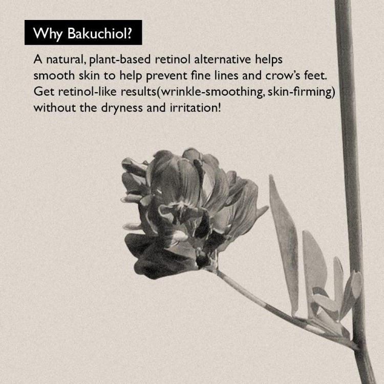 Black Rice Bakuchiol Eye Cream | Anti-Aging, Wrinkle Care,Cruelty Free