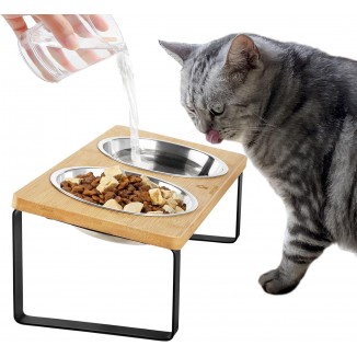 Sunhoo Cat Bowls Elevated Cat Dishes for Food and Water Raised Feeding Station for Indoor 2 Stainless Steel Kitty Bowl Set Puppy Feeder