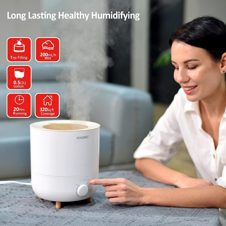 FEISONIC Humidifiers for bedroom home with diffuser