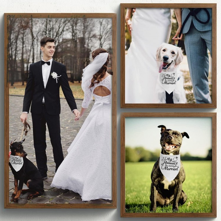 Engagement Gift, My Humans are Getting Married Dog Bandana, Wedding Photo Prop, Pet Scarf, Dog Engagement Announcement, Pet Accessories