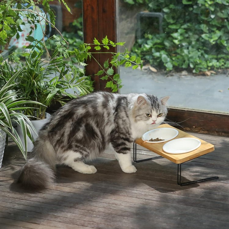 FUKUMARU Elevated Cat Ceramic Bowls, Small Dog 15° Tilted Raised Food Feeding Dishes, Solid Bamboo Water Stand Feeder Set