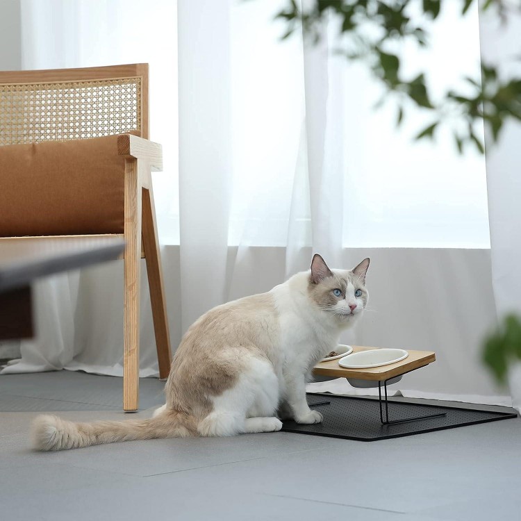 FUKUMARU Elevated Cat Ceramic Bowls, Small Dog 15° Tilted Raised Food Feeding Dishes, Solid Bamboo Water Stand Feeder Set