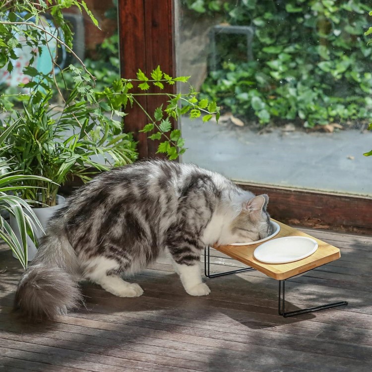 FUKUMARU Elevated Cat Ceramic Bowls, Small Dog 15° Tilted Raised Food Feeding Dishes, Solid Bamboo Water Stand Feeder Set