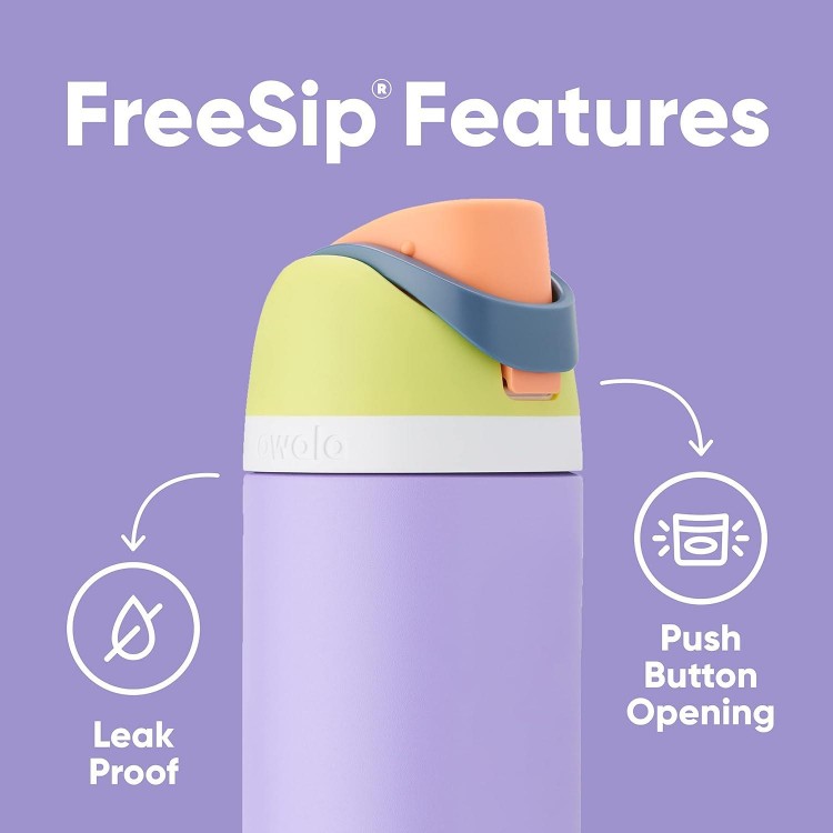 Owala FreeSip Insulated Stainless Steel Water Bottle with Straw & Silicone Water Bottle Boot, Anti-Slip Protective Sleeve Cover for 24-oz FreeSip, Twist, and Flip Stainless Steel Water Bottles, Grey