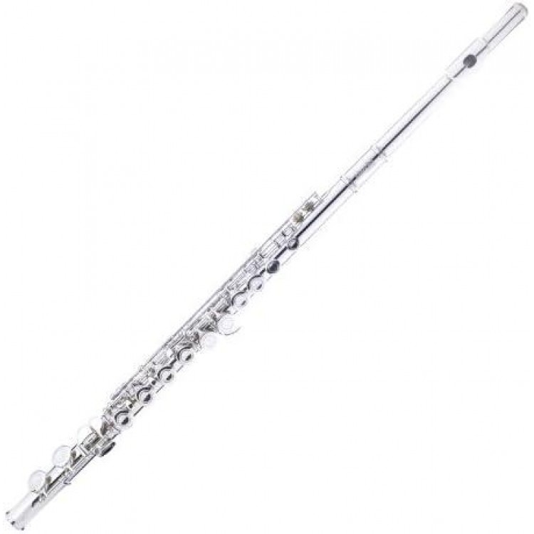 Mendini Nickel Silver Closed Hole C Flute With Tuner, Stand