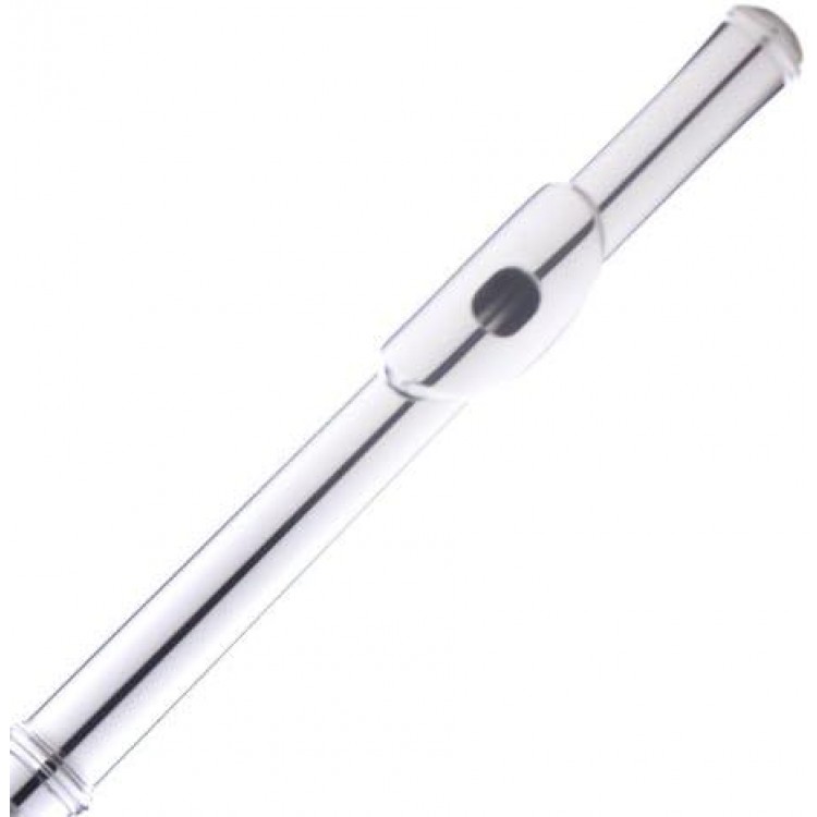 Mendini Nickel Silver Closed Hole C Flute With Tuner, Stand