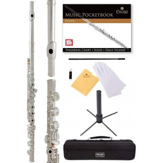 Mendini By Cecilio Premium Open Hole C 17 Keys Flute With B-Foot + Stand, Book