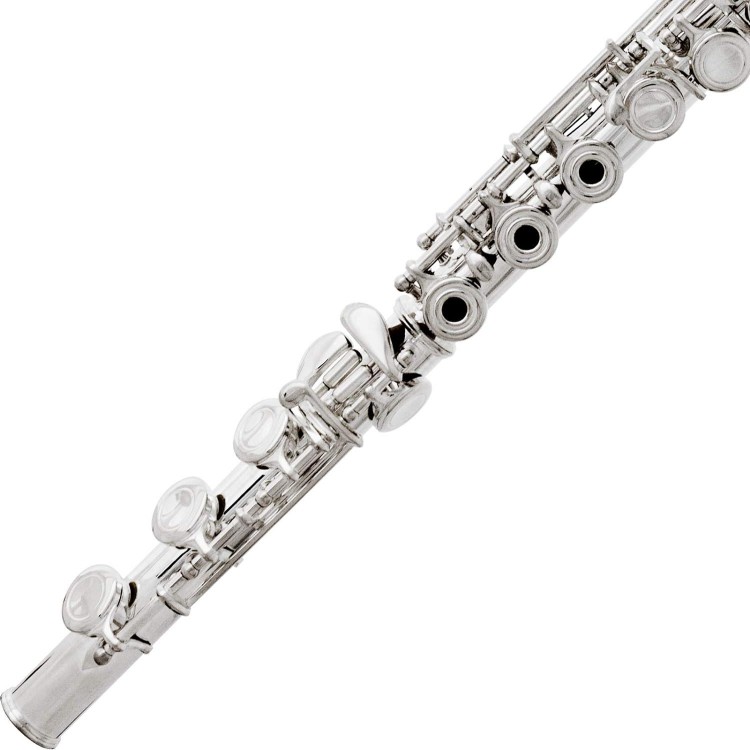 Mendini By Cecilio Premium Open Hole C 17 Keys Flute With B-Foot + Stand, Book