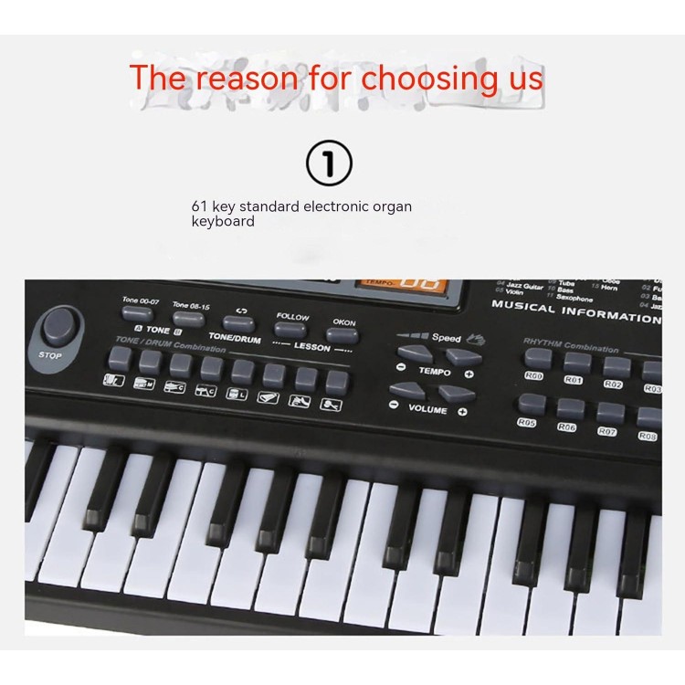 61 Key Electronic Keyboard Piano for Beginners/Professional with Microphone