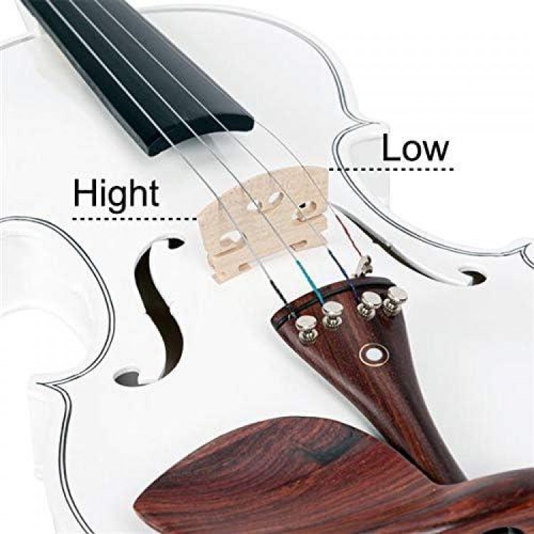 Glarry GV103 4/4 Spruce Panel Violin Matte White