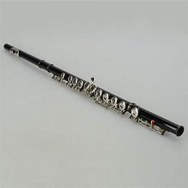 BRLUCKY Home Cupronickel C 16 Closed Holes Concert Band Flute