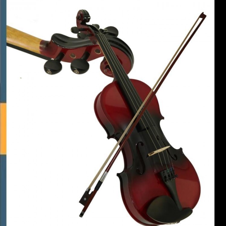 YYDINA Violin4/4 Full Set For Beginners, Adults - Beginner Kit