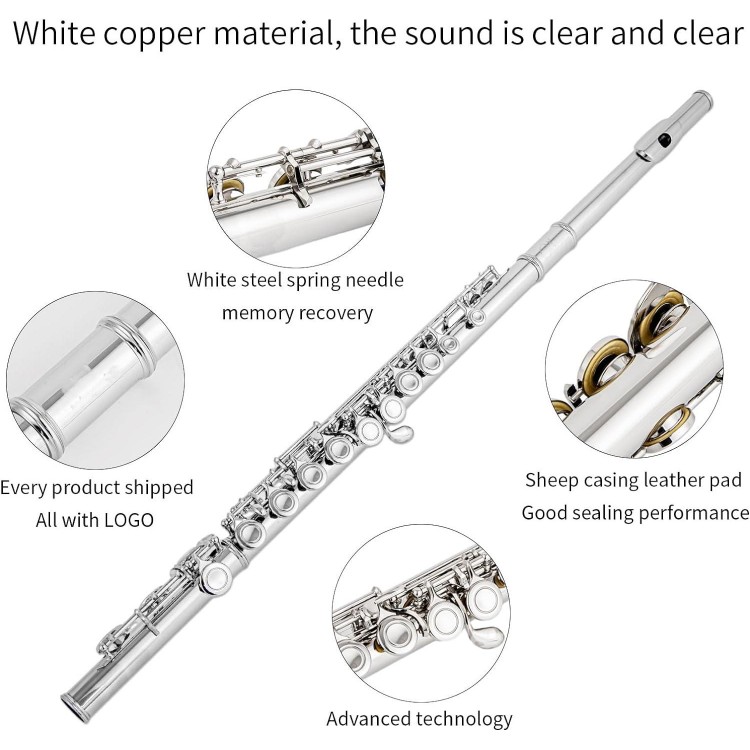 Aisiweier C Flutes Closed Hole C Flute Musical Instrument with Joint Grease