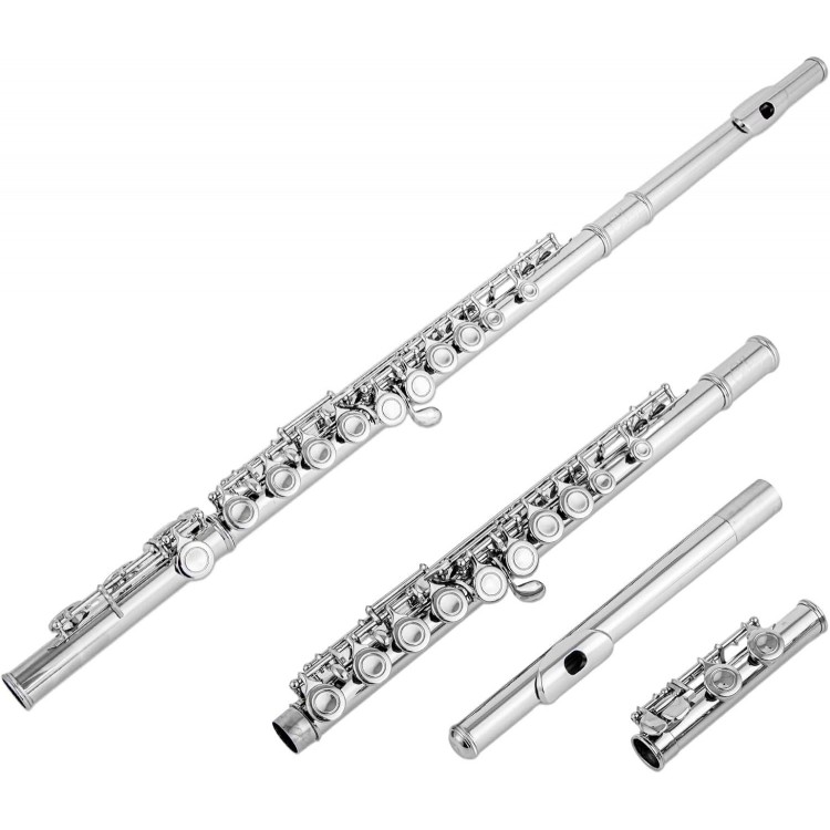 Aisiweier C Flutes Closed Hole C Flute Musical Instrument with Joint Grease