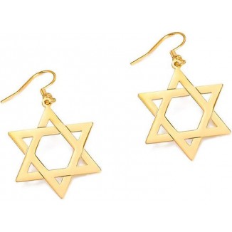 Enhance Your Appeal with Stainless Steel Star of David Earrings
