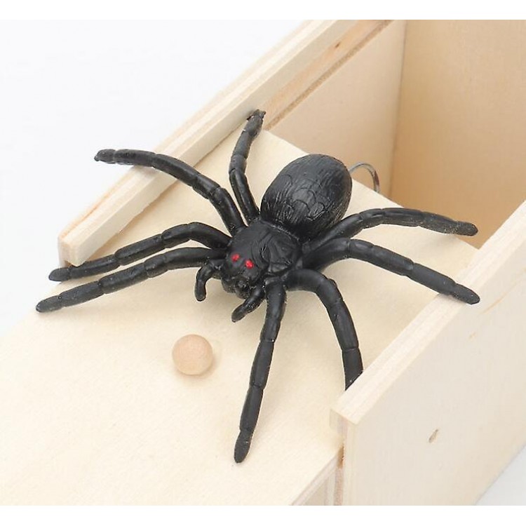 Fun Spider Money Surprise Box - Handcrafted Rubber Spider Prank Box