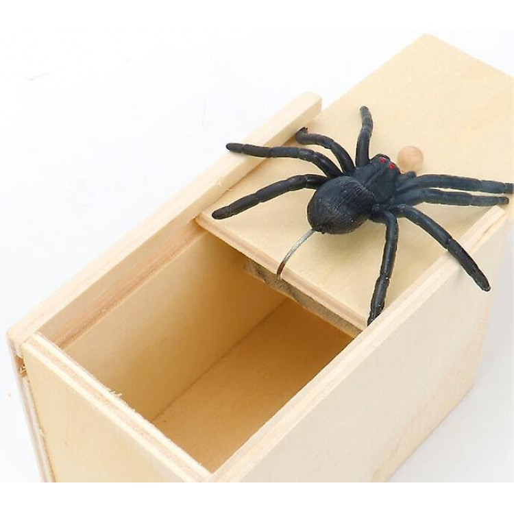 Fun Spider Money Surprise Box - Handcrafted Rubber Spider Prank Box