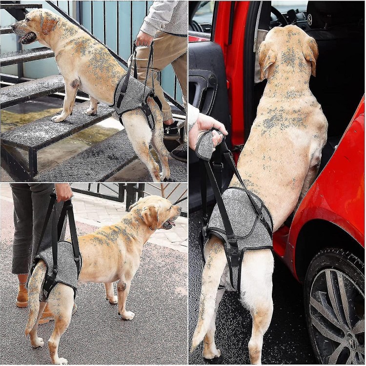 Dog Lifting Harness - Support Harness for Back Legs