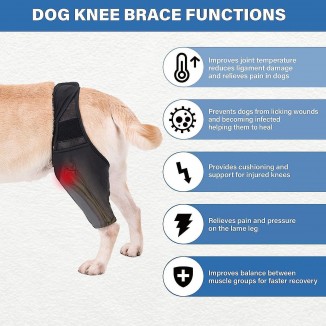 Dog Knee Brace,dog Leg Brace Hip Support Brace