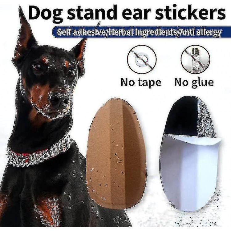 Dog Ear Stand Fixed Support Correction Erect Holder Patch For Doberman Pinscher Sheltie Corgi