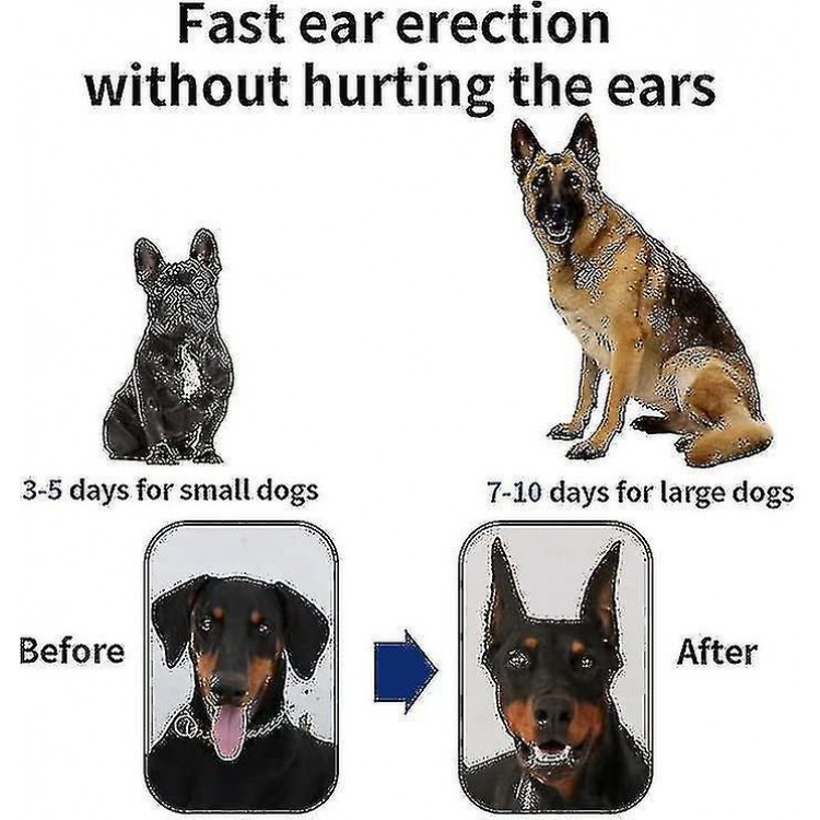 Dog Ear Stand Fixed Support Correction Erect Holder Patch For Doberman Pinscher Sheltie Corgi