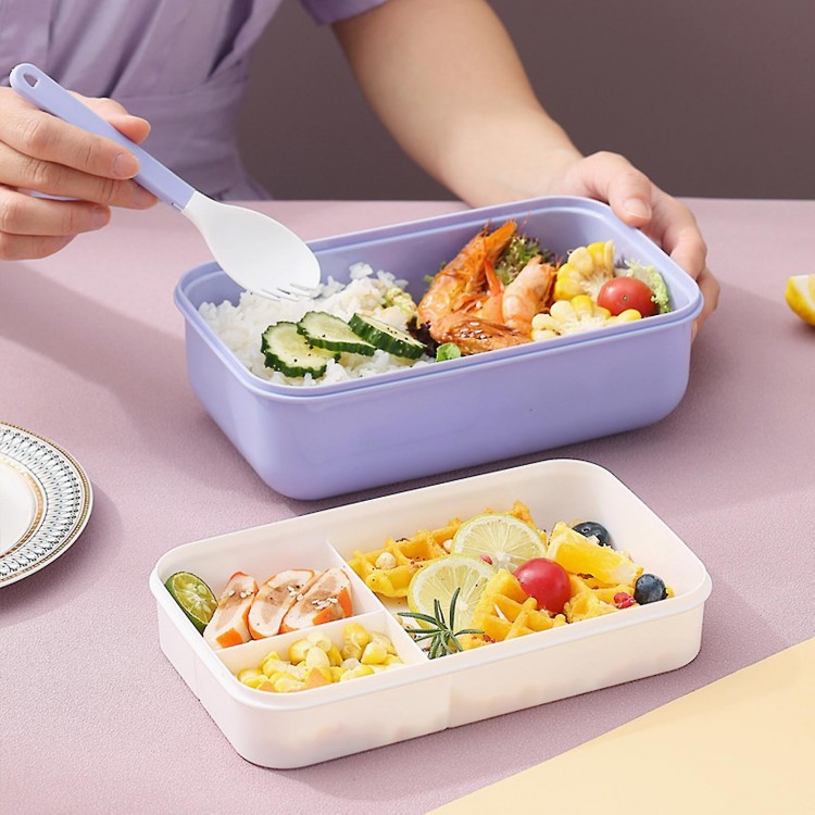 Lunch Container with Lid Double Layers Microwave Safe Dinnerware Silicone Well Bento Box