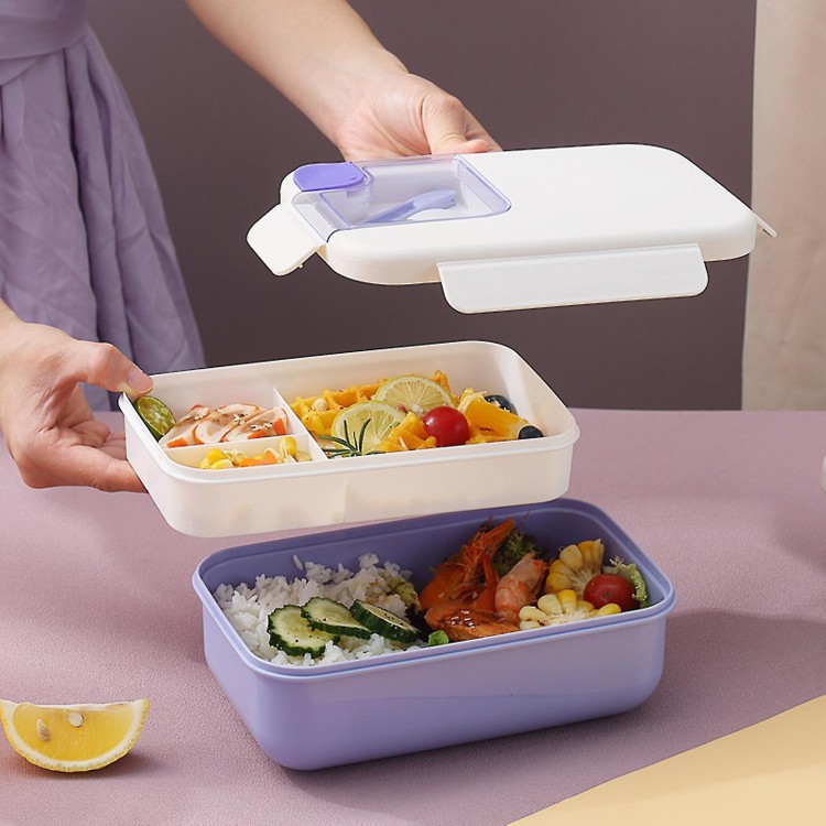 Lunch Container with Lid Double Layers Microwave Safe Dinnerware Silicone Well Bento Box