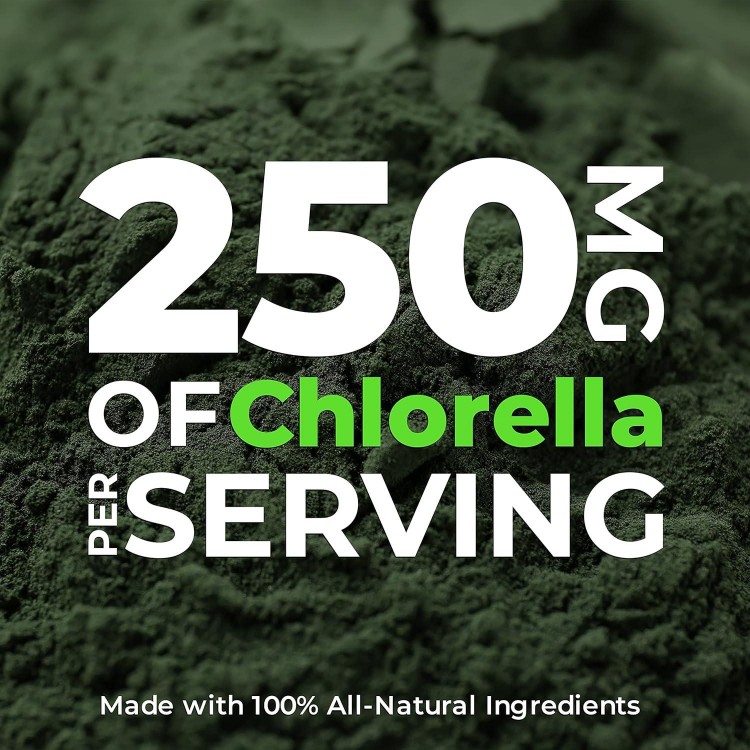 Earth Circle Foods Chlorella Tablets, 1000 Count