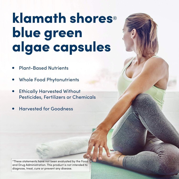 Blue Green Algae - Fresh Water Phytonutrient-Superfood Supplement