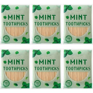 600 Pcs Mint Toothpicks Bulk Flavor Menthol Toothpicks