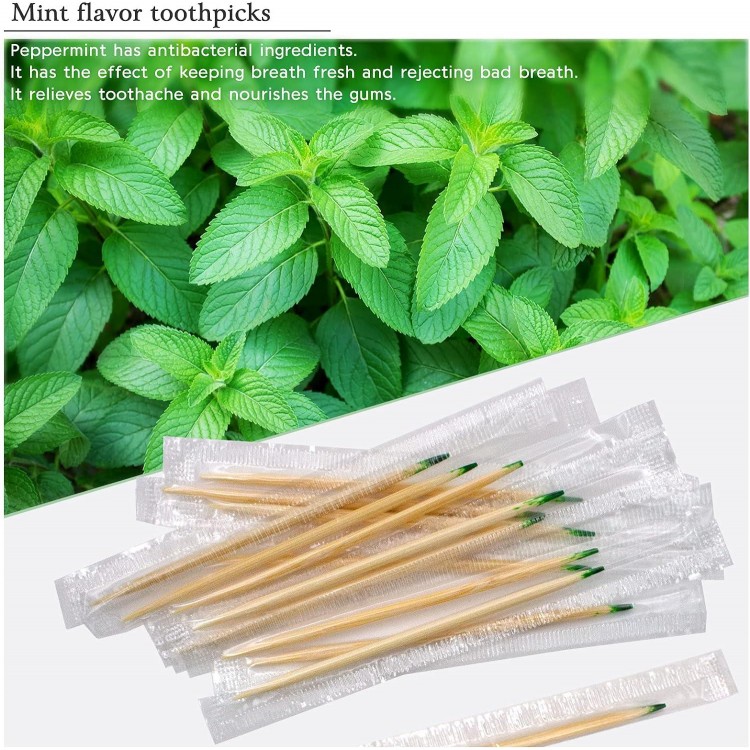 BLUE TOP Wood Bamboo Mint Individually Cello Wrapped Toothpicks