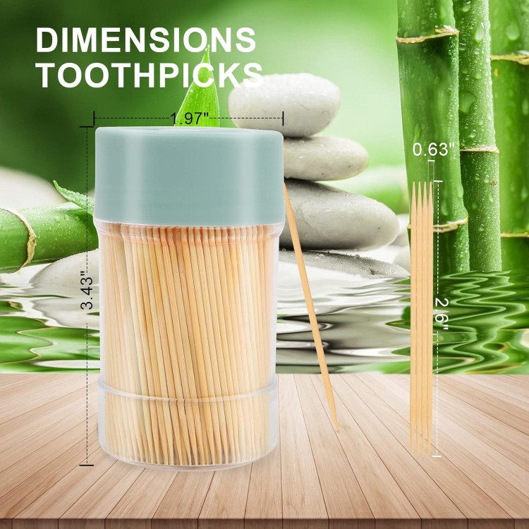 Bamboo Toothpicks [3000 Count] - With Reusable Toothpick Holder