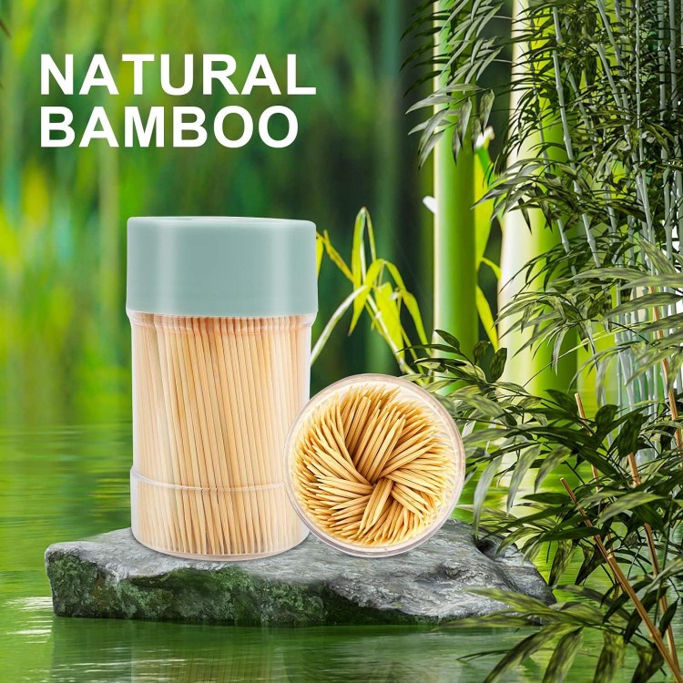 Bamboo Toothpicks [3000 Count] - With Reusable Toothpick Holder