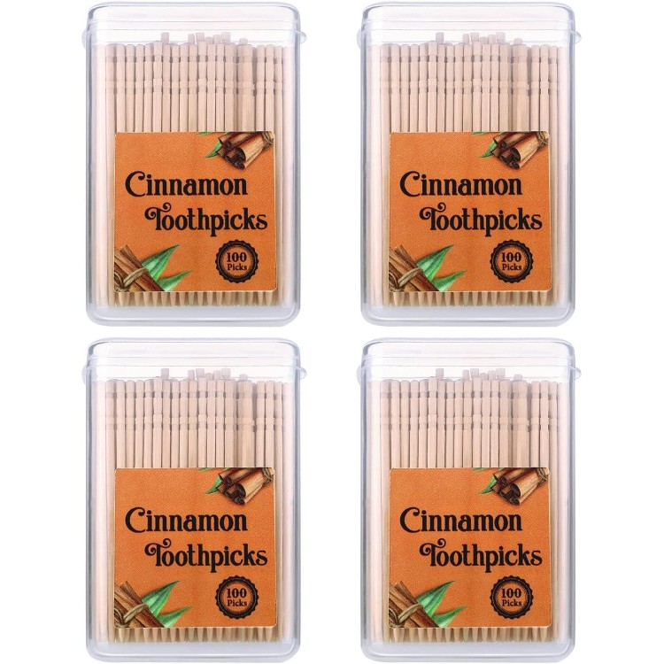 400 Pcs 4 Boxes Toothpicks for Adults Cinnamon Flavored Toothpicks