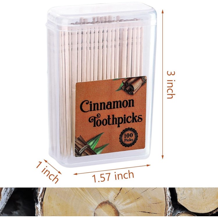 400 Pcs 4 Boxes Toothpicks for Adults Cinnamon Flavored Toothpicks