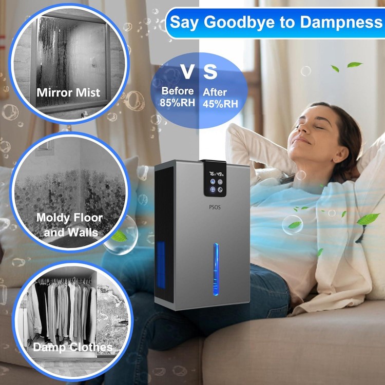 Dehumidifier, Dehumidifiers for Basement, Quiet Small Dehumidifiers