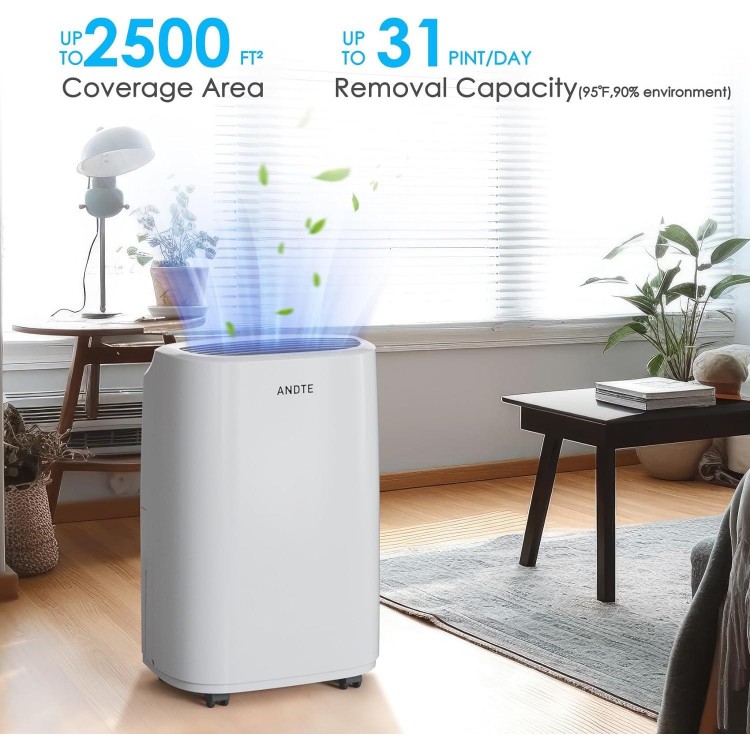 2500 Sq.Ft Dehumidifier For Home Basement And Large Room, Upgraded