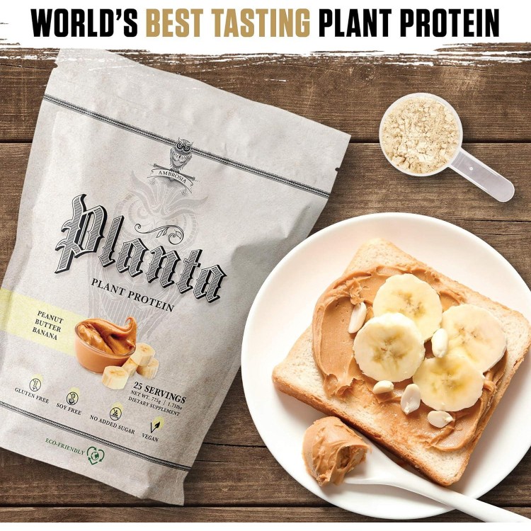 Premium Organic Plant-Based Protein (Peanut Butter Banana)