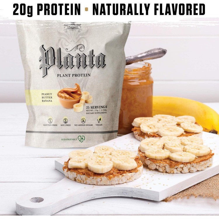 Premium Organic Plant-Based Protein (Peanut Butter Banana)