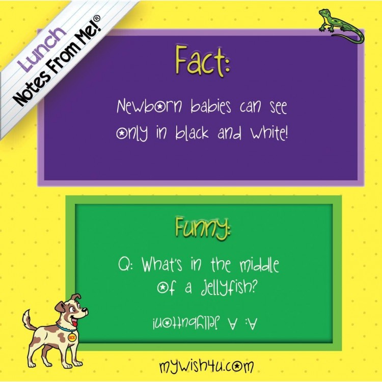 101 Colorful Lunch Box Notes for Kids with Fun Facts and Jokes
