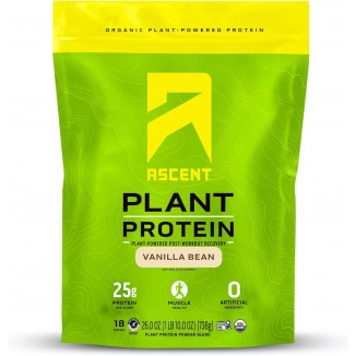 Plant Based Protein Powder - Non Dairy Vegan Protein