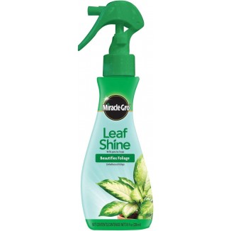 Miracle-Gro Leaf Shine, 8-Ounce Green