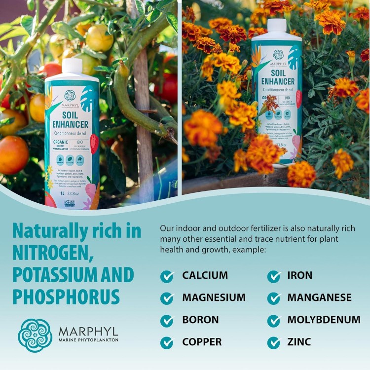 Organic Liquid Fertilizer - Outdoor & Indoor Plant Food - All-Purpose