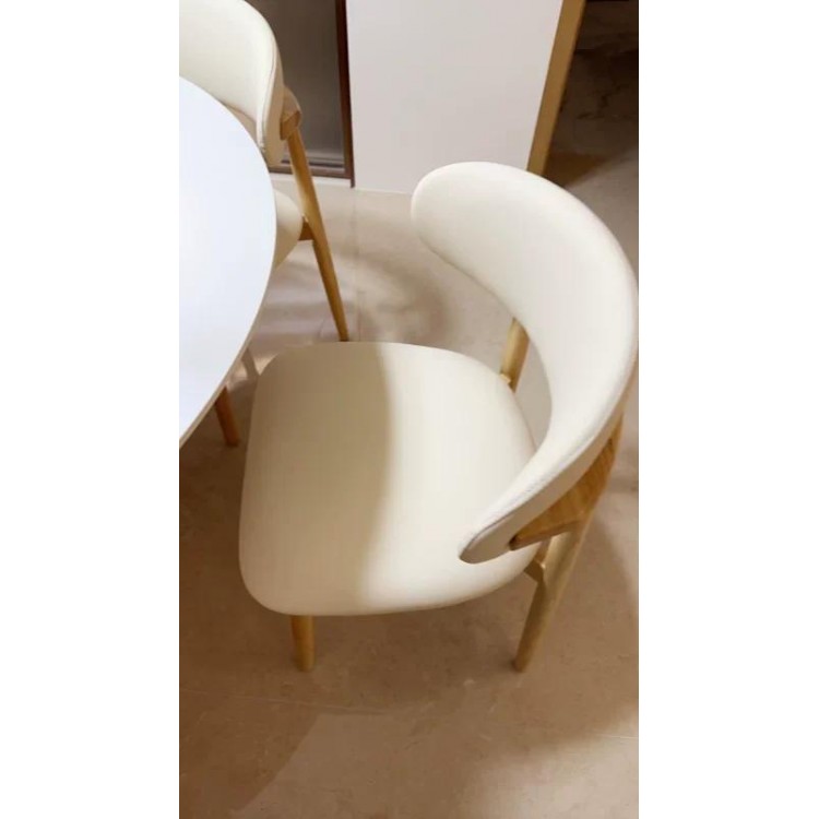Nordic Designer Solid Wood Dining Chairs Light Luxury