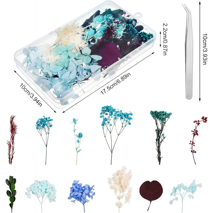 Dried Flowers Blue, Dried Flowers for Crafts, Wild Flowers Decoration