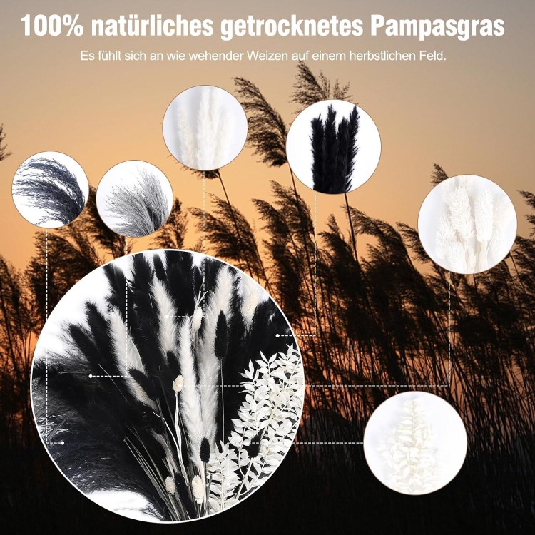 Black Pampas Grass, Pack of 102 Natural Dried Pampas Grass Bouquet