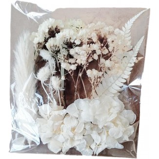 Dried Flowers, Natural Dried Flowers, Dried Flowers for Crafts