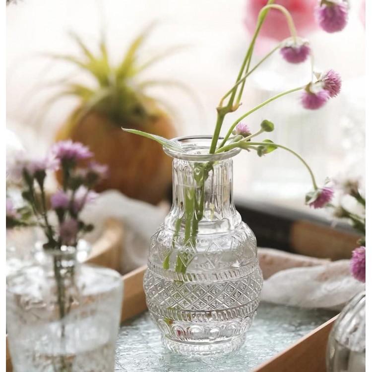 Mini Vases Set, 10 Pieces Small Glass Vase, Vintage Decorative Vases Set, Various Sizes, Flower Vase