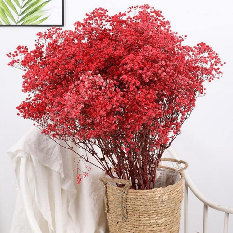 Gypsophila Flowers 120g 65cm Dried Flowers Gypsophila